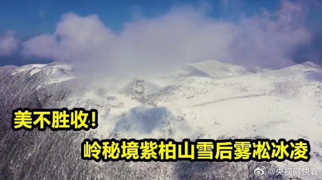 森迪公主快乐的一天