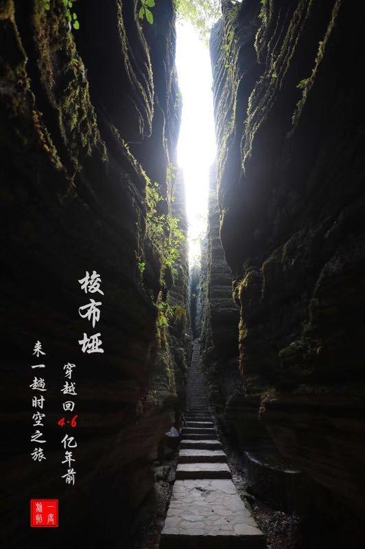 “华章传承献青春,智慧新火践初心”社会实践队第一次线上会议顺利召开