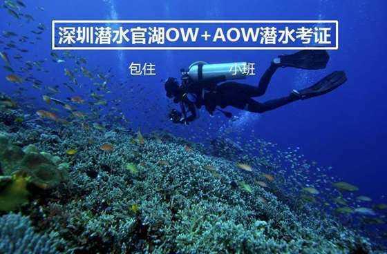 万词王