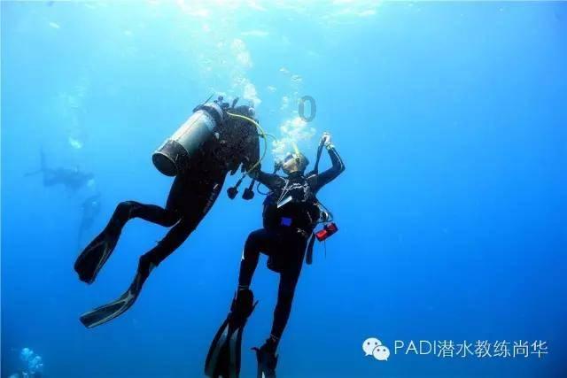 张永兴:惊收政法机关与法律相悖的两份雷人答复