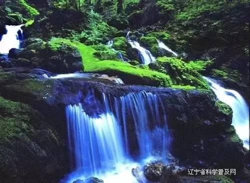 冷知识分享平台-暗示友情疏远的诗句有哪些独家揭秘!