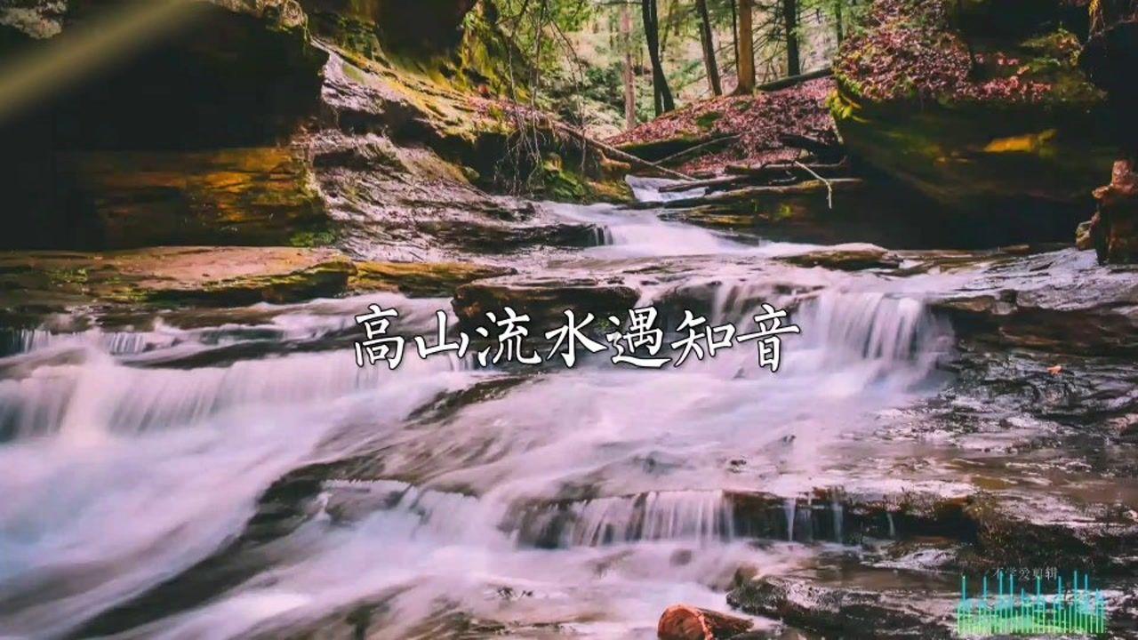 时尚红人莎莉