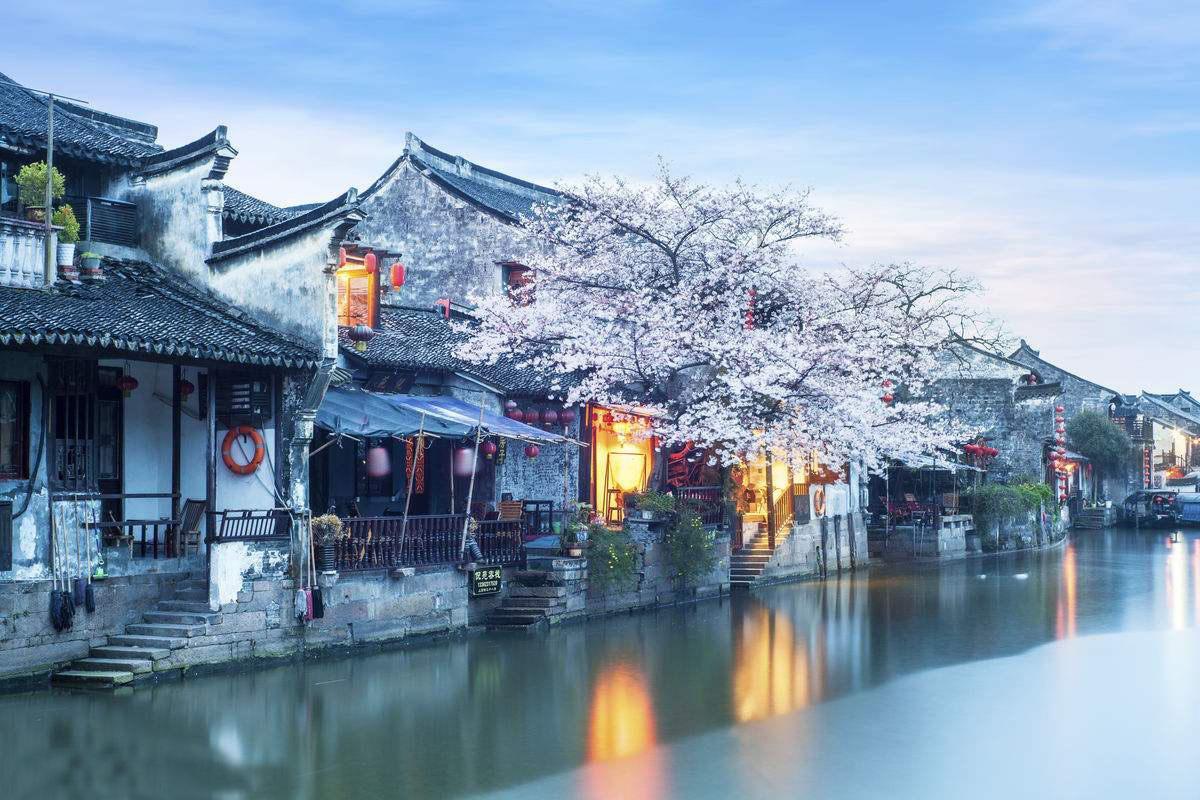 惊艳!城本高端局,种植牙机器人闪亮登场